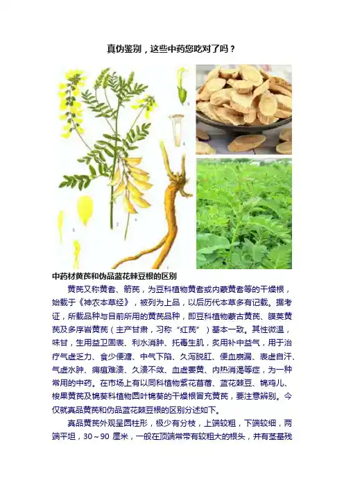 真伪鉴别，这些中药您吃对了吗？