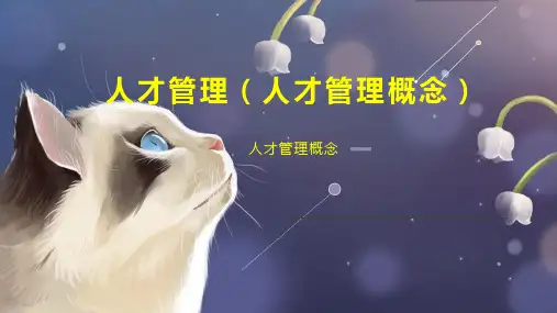 人才管理(人才管理概念)
