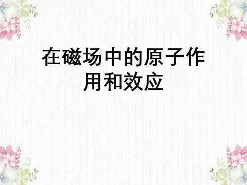 在磁场中原子作用与效应