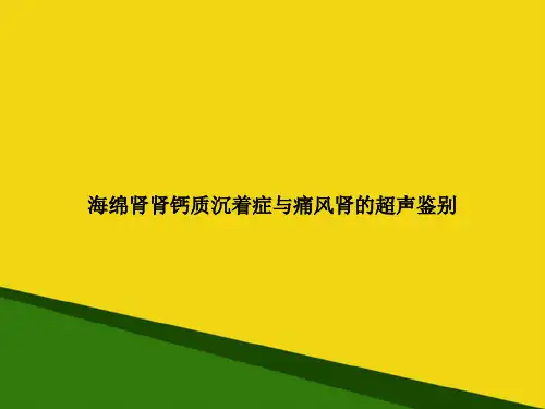 海绵肾肾钙质沉着症与痛风肾的超声鉴别-推荐优秀PPT