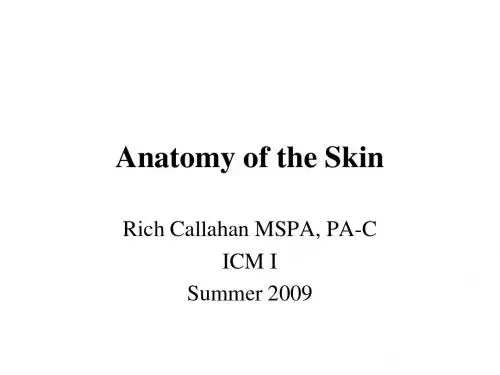 Anat of Skin 皮肤解剖学