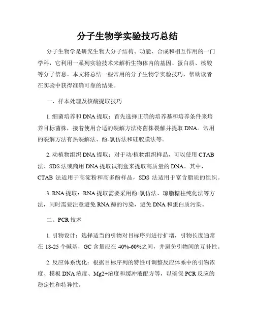 分子生物学实验技巧总结