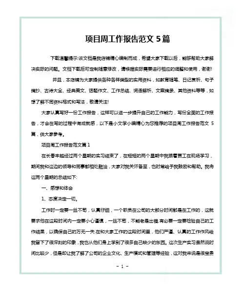 项目周工作报告范文5篇