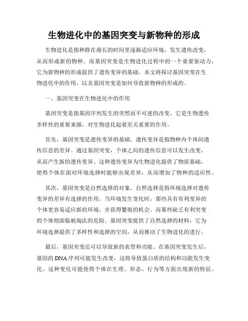 生物进化中的基因突变与新物种的形成