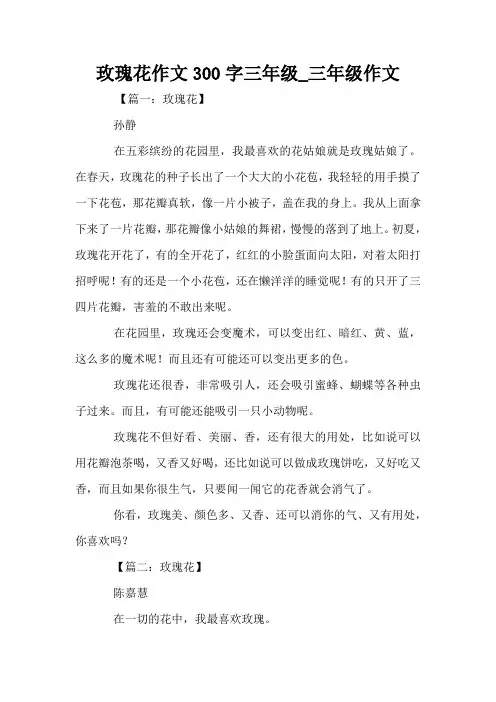 玫瑰花作文300字三年级_三年级作文
