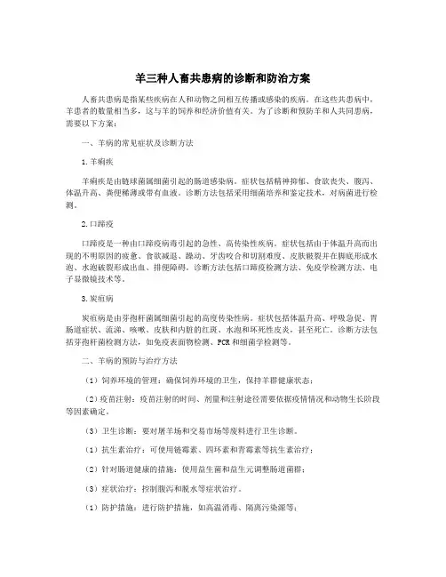 羊三种人畜共患病的诊断和防治方案