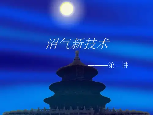 沼气新技术ppt