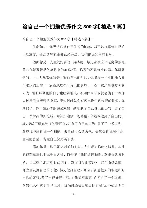 给自己一个拥抱优秀作文800字【3篇】