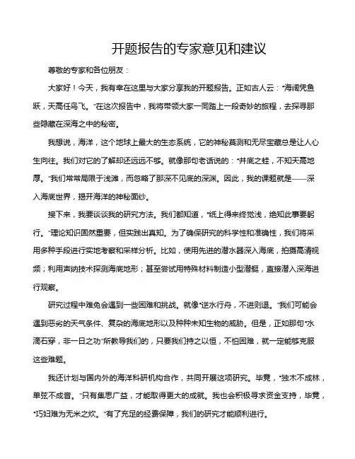 开题报告的专家意见和建议