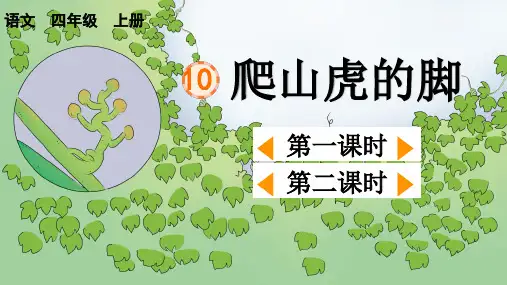 部编版语文优质课件四(上)第10课《爬山虎的脚》PPT