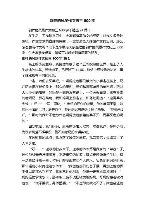 别样的风景作文初三600字（精选24篇）