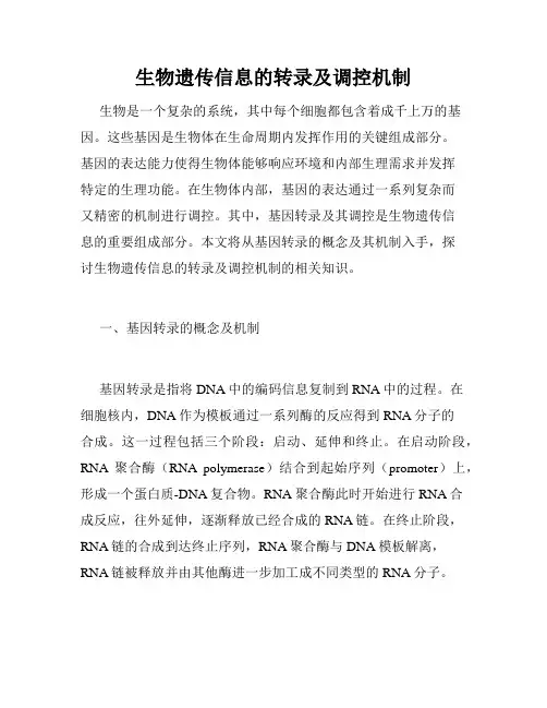 生物遗传信息的转录及调控机制