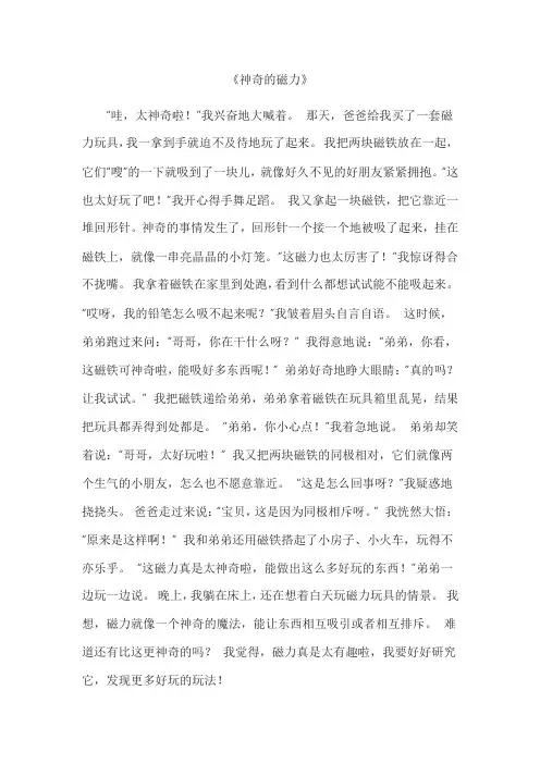 神奇的磁力作文