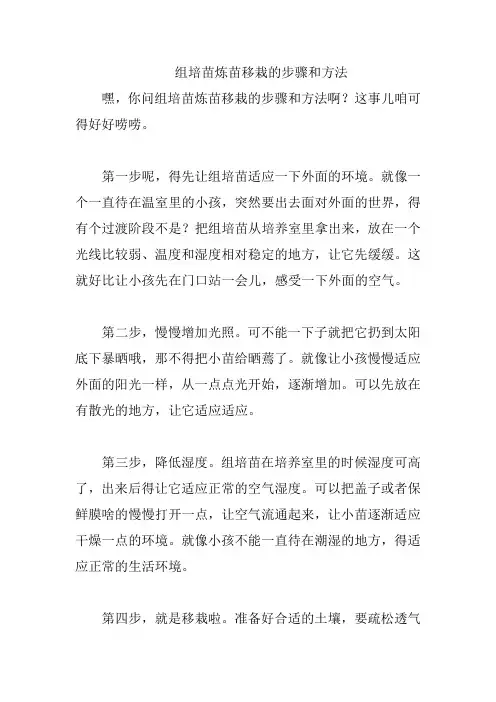 组培苗炼苗移栽的步骤和方法