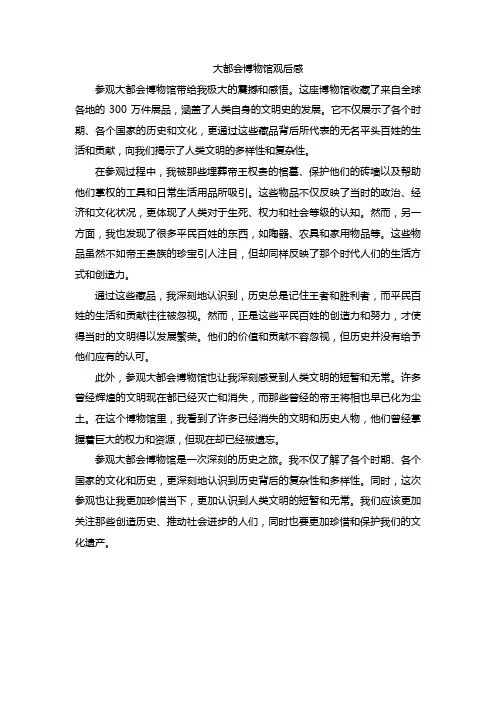 大都会博物馆观后感