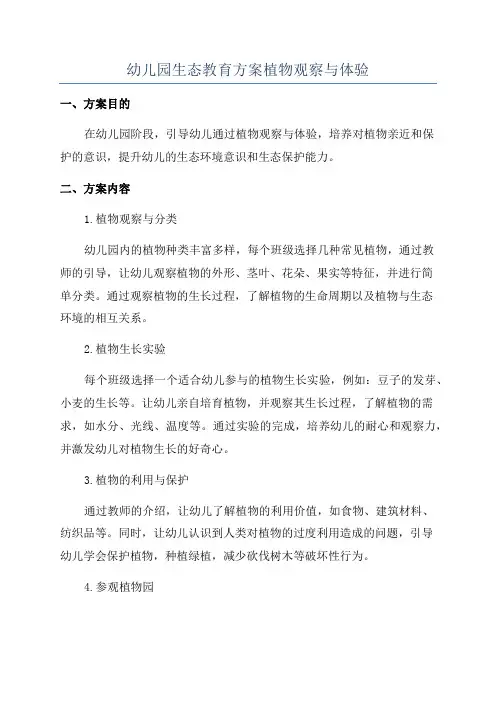 幼儿园生态教育方案植物观察与体验