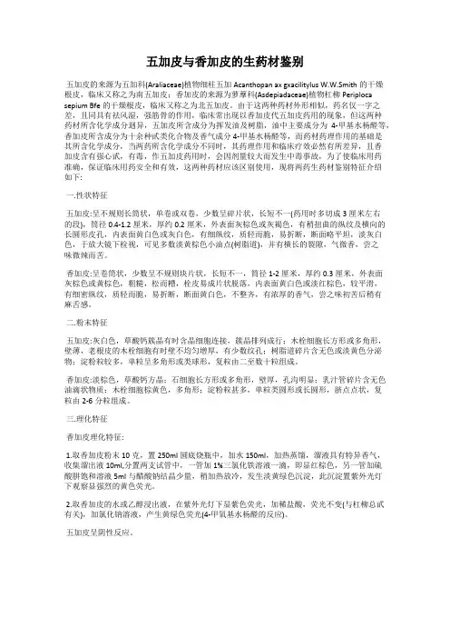 五加皮与香加皮的生药材鉴别