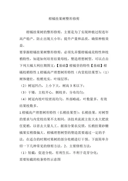 柑橘挂果树整形修剪