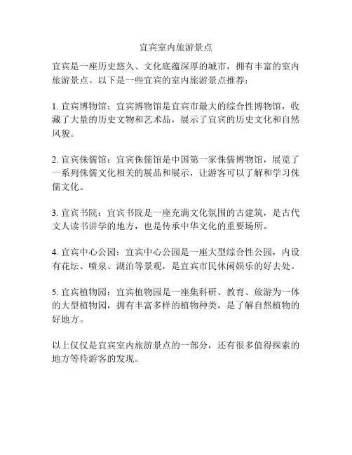 宜宾室内旅游景点