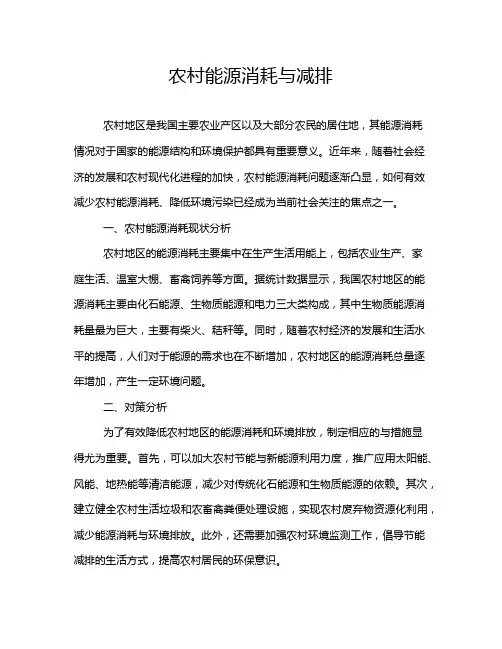 农村能源消耗与减排