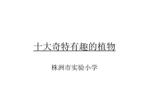 十大奇特有趣的植物