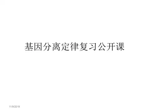 基因分离定律复习公开课PPT课件