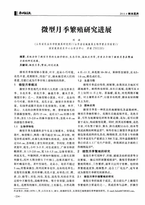微型月季繁殖研究进展