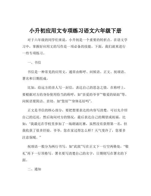小升初应用文专项练习语文六年级下册