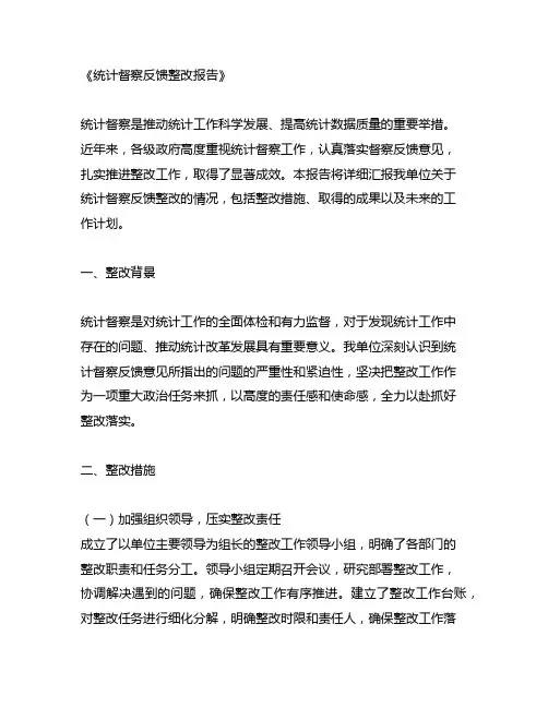 统计督察反馈整改报告
