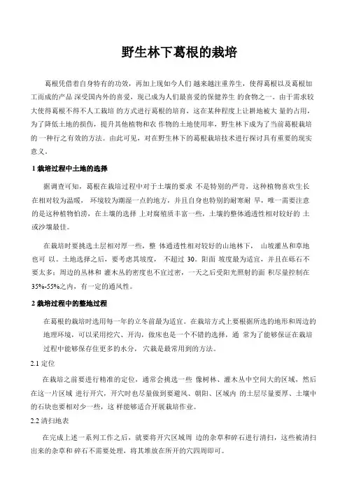 野生林下葛根的栽培