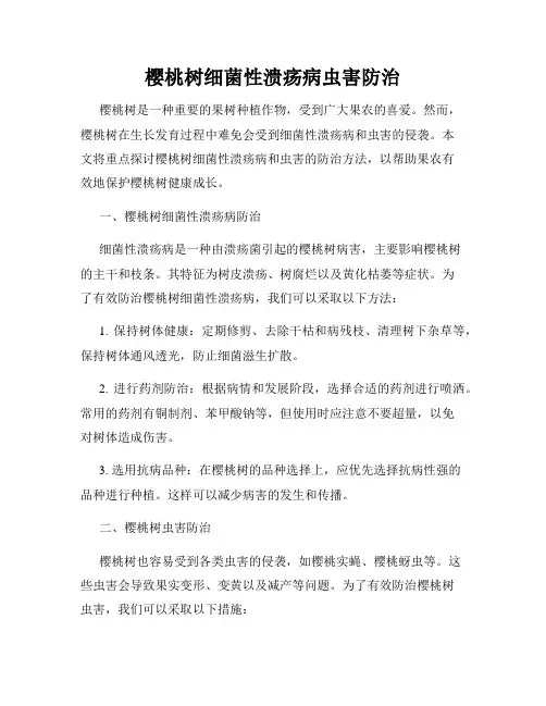 樱桃树细菌性溃疡病虫害防治