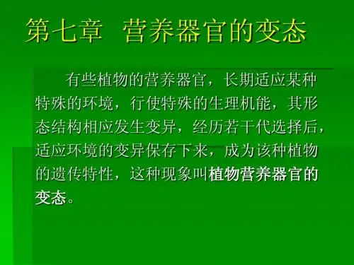 第七章  营养器官的变态