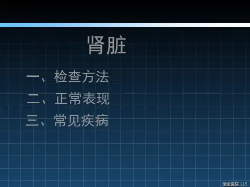 肾脏常见病变CT诊断PPT