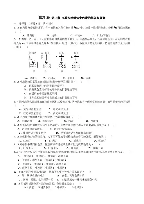 高中生物练习20 第三章 实验八叶绿体中色素的提取和分离 人教版 必修1