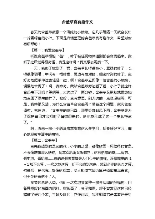 含羞草真有趣作文