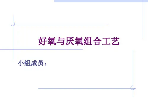 好样与厌氧组合工艺