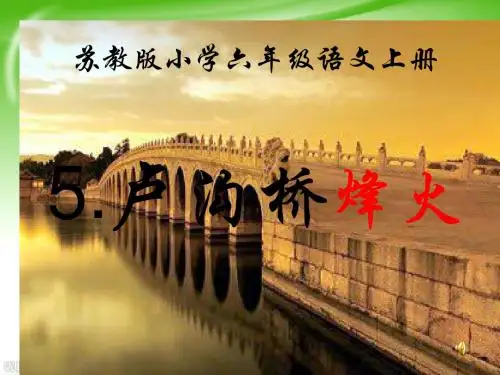苏教版六年级语文下册《卢沟桥烽火》PPT课件10