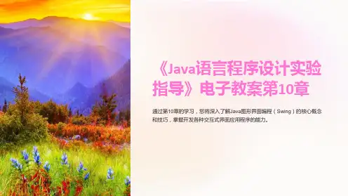 《Java语言程序设计实验指导》电子教案第10章