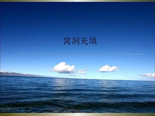 窝洞充填PPT课件