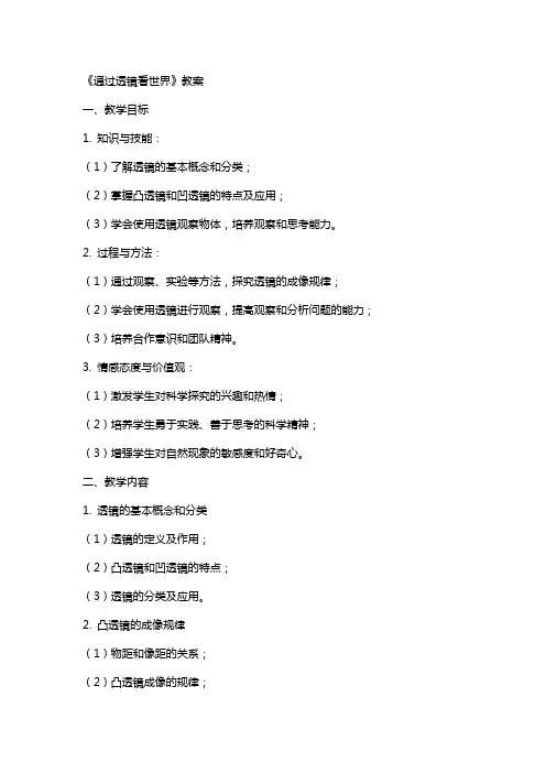 《通过透镜看世界》教案