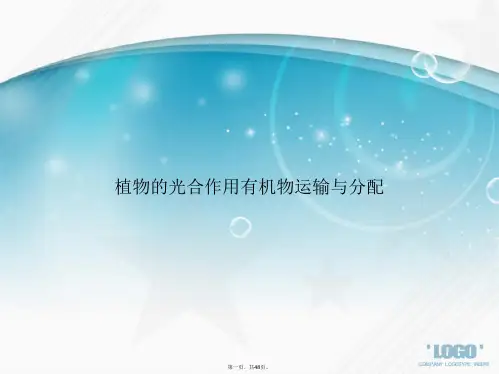 植物的光合作用有机物运输与分配讲课文档