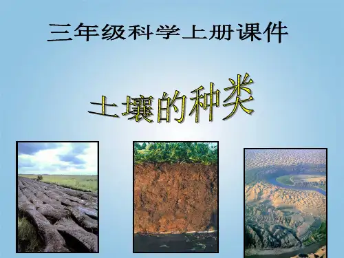 三年级科学上册土壤的种类(课堂PPT)