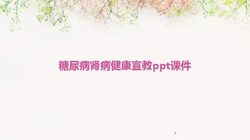 2024年度-糖尿病肾病健康宣教ppt课件