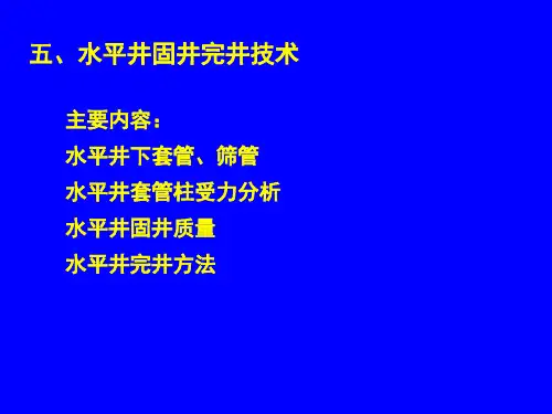 水平井5