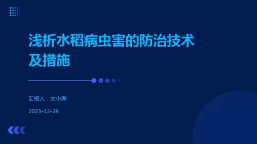 浅析水稻病虫害的防治技术及措施