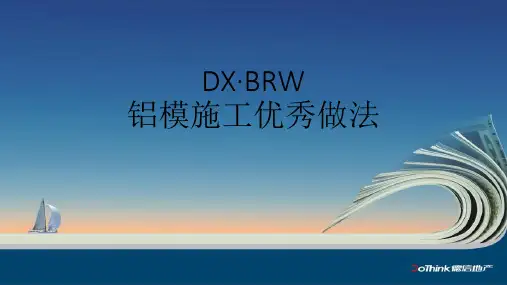 铝模施工优秀做法