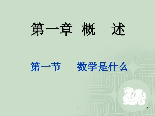 《数学是什么》PPT课件