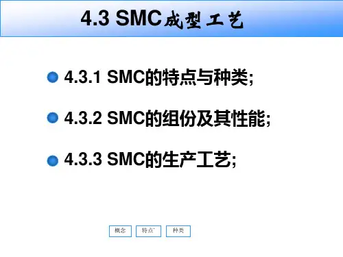 SMC成型工艺分析报告.pptx