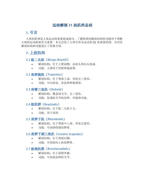 运动解剖21块肌肉总结