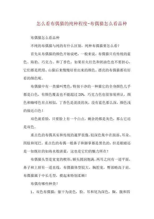 怎么看布偶猫的纯种程度-布偶猫怎么看品种